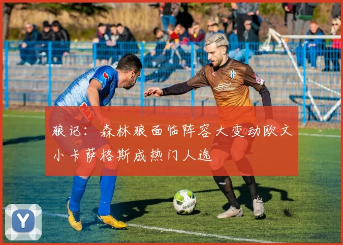 狼记:森林狼面临阵容大变动欧文小卡萨格斯成热门人选