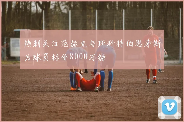 热刺关注范赫克与斯科特伯恩茅斯为球员标价8000万镑